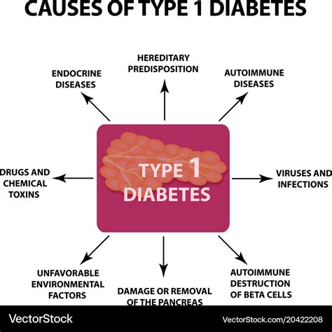 What Can Cause Type 1 Diabetes Mellitus